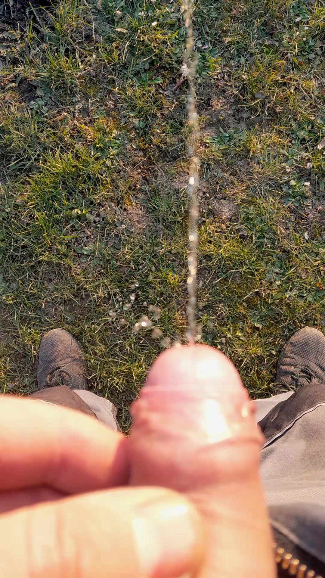 Penis beim Outdoor pissen